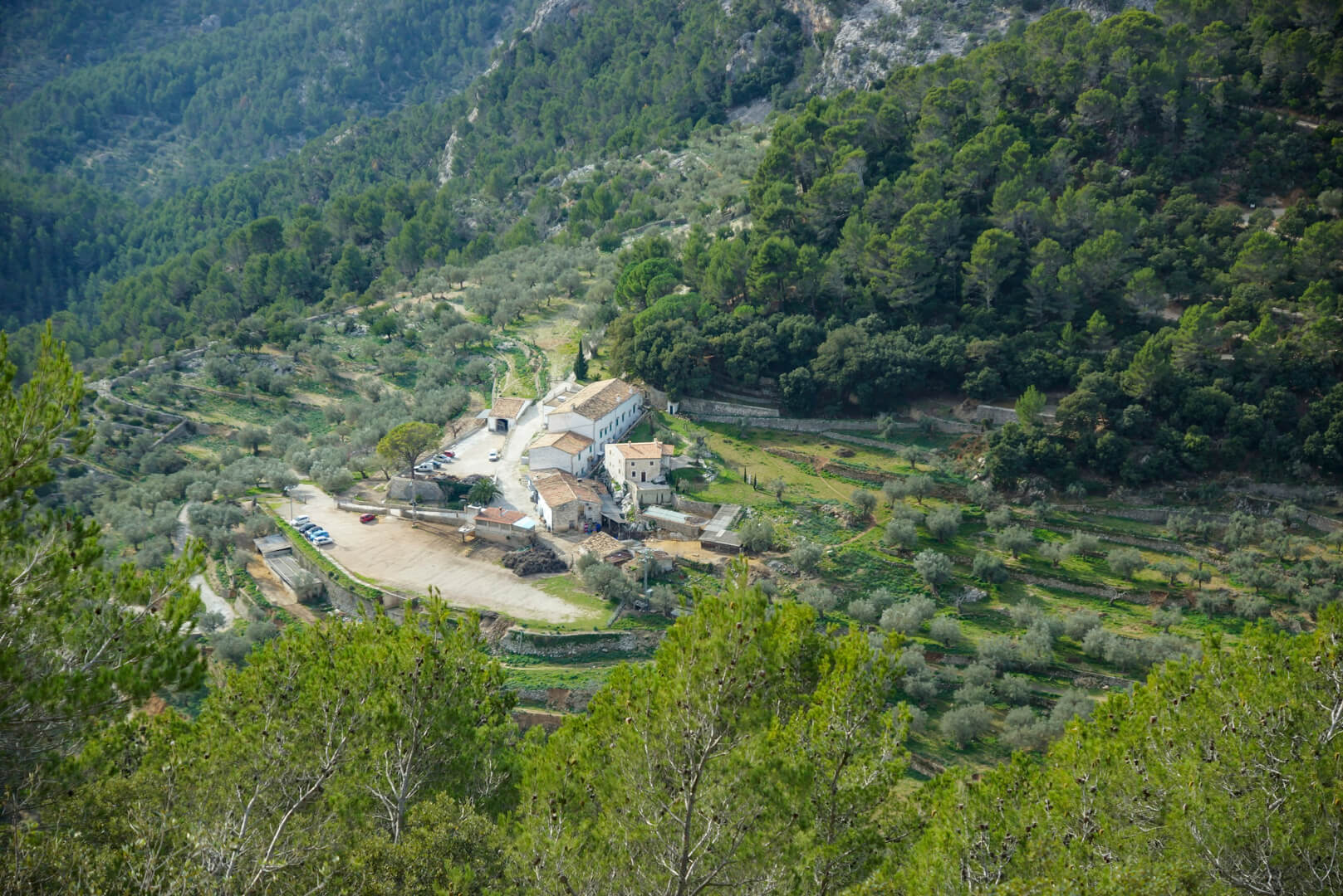 Restaurant Es Verger von oben