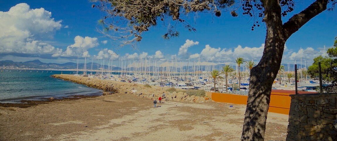 Hafen El Arenal