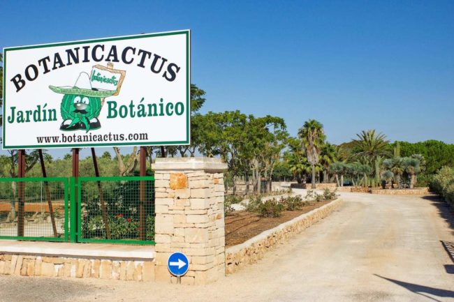 Botanicactus Ses Salines