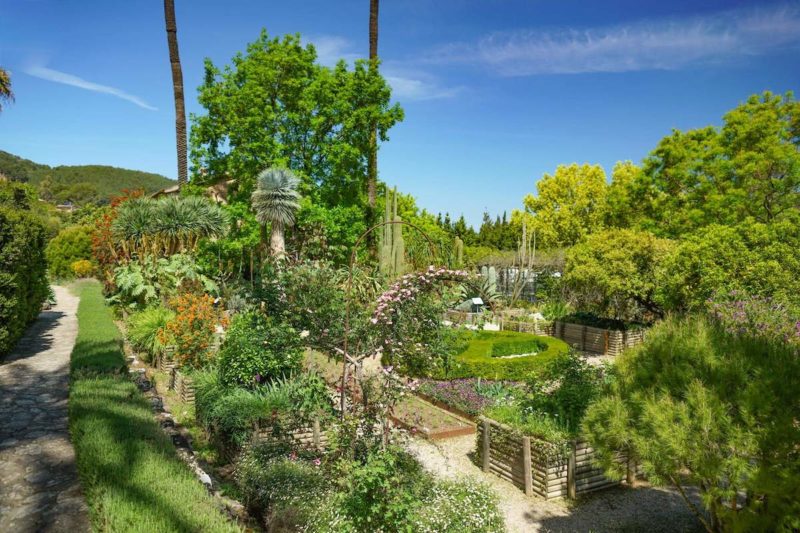 Botansicher Garten von Soller