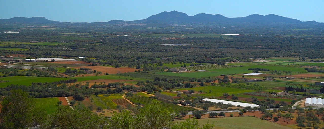 Pla de Mallorca Pla de Mallorca