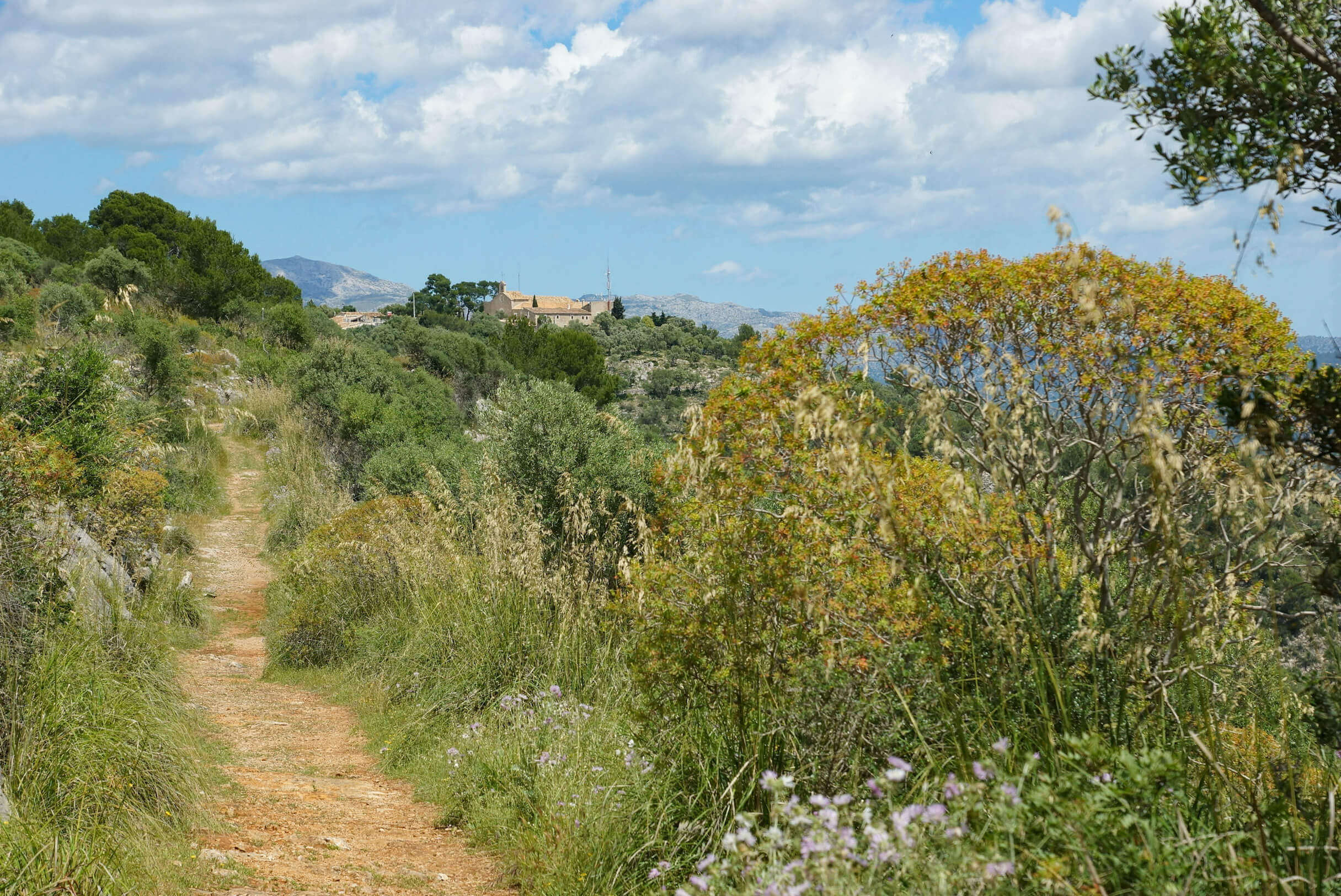 wanderweg auf dem puig de son sastre